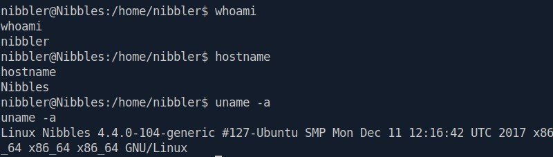 InitialAccess.jpg